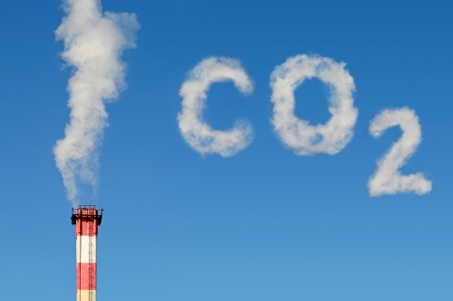All the Ways to Remove Carbon Emissions From the Air