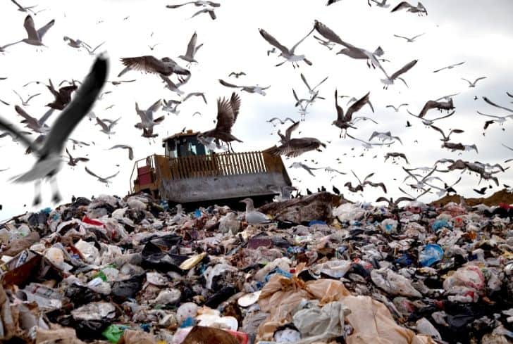 The Urgent Need to Address Environmental Issues: Examining Climate Change, Deforestation, and Water Pollution