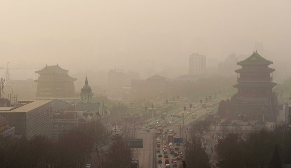 Urban ecology in China: Historical developments and future directions