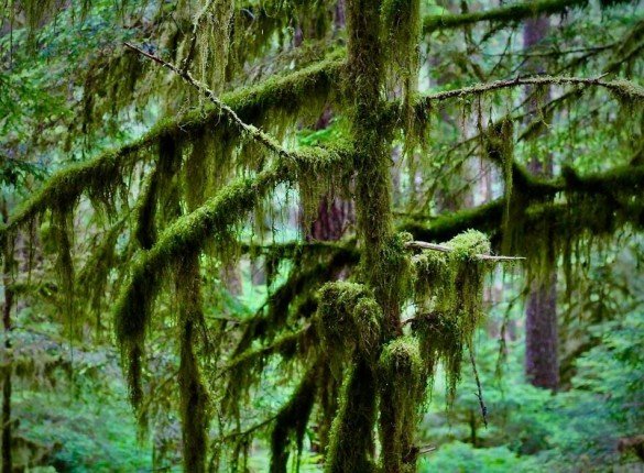 Proofreading and Editing Errors That Mislead Climate Readers