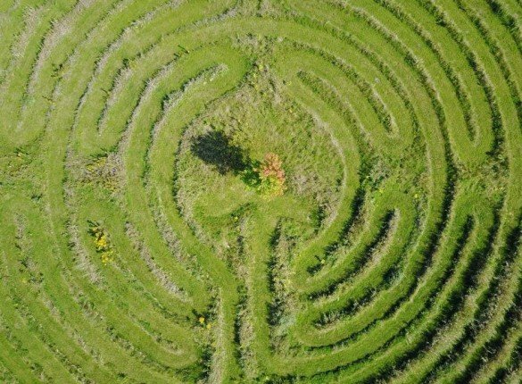 How Everything on Earth Is Connected