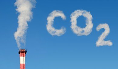All the Ways to Remove Carbon Emissions From the Air