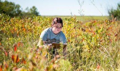 Ecology Topics Overview