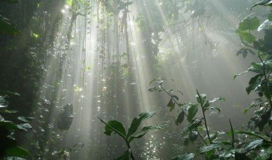 Types, Importance and Examples of Ecology?