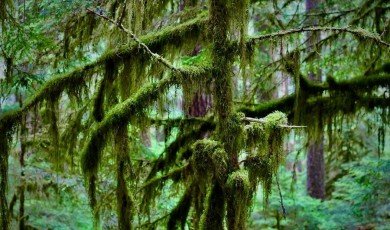 Proofreading and Editing Errors That Mislead Climate Readers