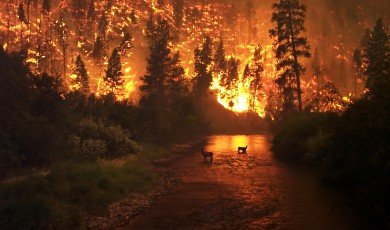 Climate change, caused by the buildup of greenhouse gases in the atmosphere, has become a major concern for people around the world